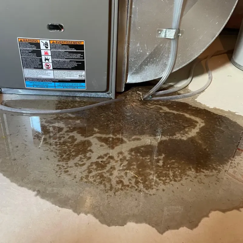 Appliance Leak Cleanup in Chippewa County, WI